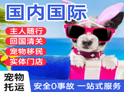 文山砚山航空托运国际宠物托运 【国